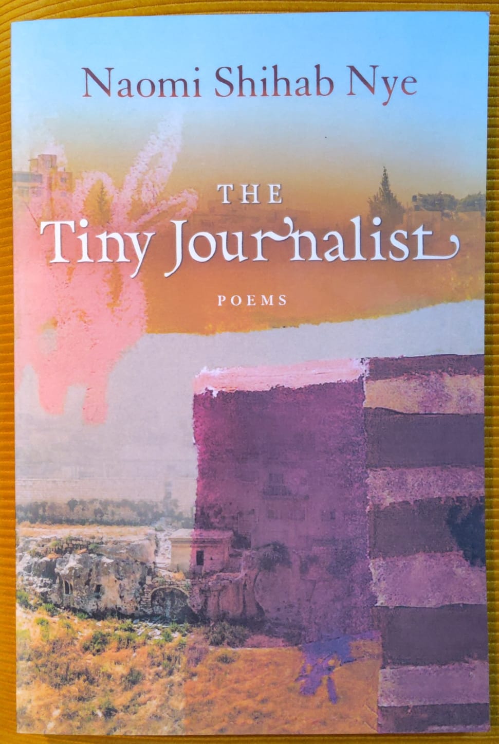 Boekomslag Naomi Shihab Nye - The Tiny Journalist. Poems