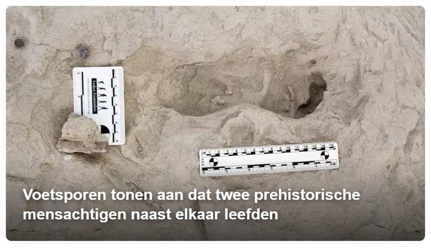 Nieuwskop Nu.nl: Voetsporen tonen aan dat twee prehistorische mensachtigen naast elkaar woonden