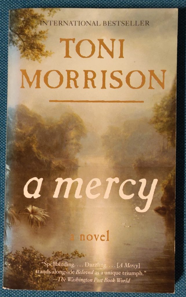 Boek Toni Morrison - A Mercy

#DeZinVanHetBoek:
'I am a thing apart.'
★★★☆☆